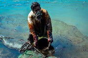 آلودگی نفتی در سواحل جزیره مائوریتیوس