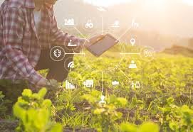کشاورزی دیجیتال، نقطه امید برای تامین غذای آینده/ کاهش ۵۰ درصدی مهاجرت به شهرها