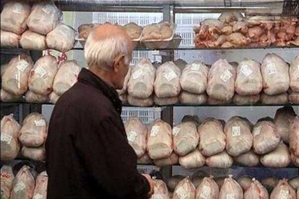 قیمت مرغ در بازار بوشهر پر کشید؛ وعده «صمت» برای کشیدن ترمز قیمت