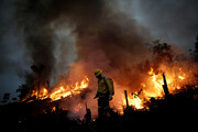 آتش سوزی در جنگل های آمازون برزیل