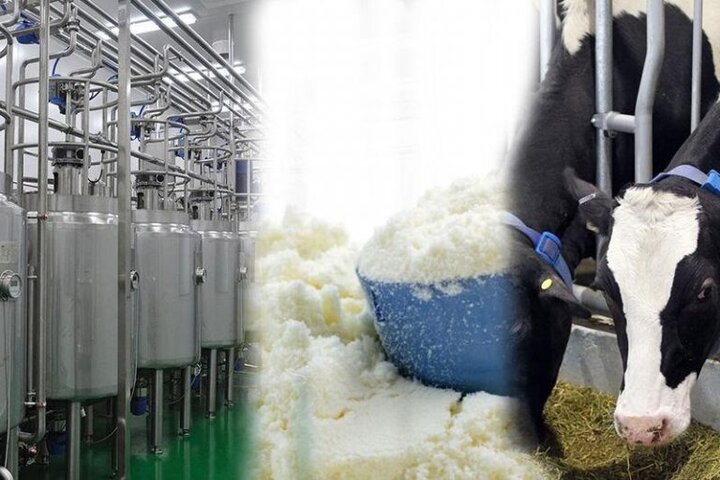 صادرات شیر خشک خیانت است| اختصاص ارز ۴۲۰۰ تومانی، بدون فایده برای سفره مردم