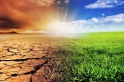 گرمایش زمین، تهدیدی جدی برای امنیت غذایی دنیا