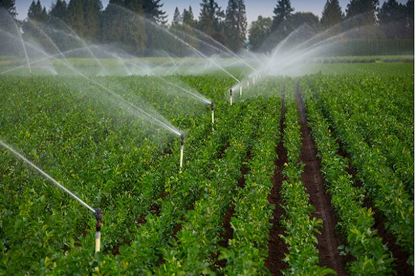 طرح تامین آب ۲ هزار هکتار از اراضی کشاورزی لرستان اجرا می‌شود