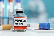 رقابت شرکتهای داروسازی برای تکمیل مراحل تولید واکسن