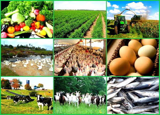 ۶۰ ایده برتر سودآور تجاری در صنعت کشاورزی جهان (بخش اول)