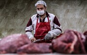 بازار گوشت روی موج گرانی؛ ناتوانی دولت در شکستن شاخ گرانی