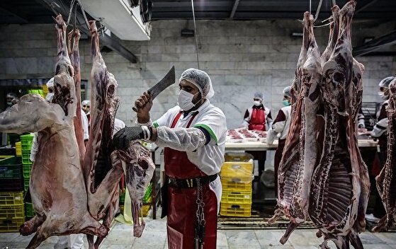 سود افزایش قیمت گوشت در جیب واسطه‌ها | گرانی داد تولیدکننده‌ را هم درآورد