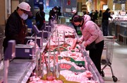 چین؛ عامل افزایش صادرات جهانی گوشت مرغ