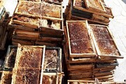 خسارت گرما به زنبورستانهای شهرستان بشرویه