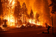 آتش سوزی های گسترده در کالیفرنیا