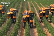 افزایش ۲.۵ برابری تجهیز ناوگان مکانیزه بخش کشاورزی استان البرز