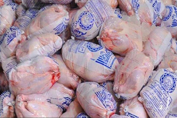 کشف ۱۱۶ تن مرغ منجمد برزیلی قاچاق در شرق تهران