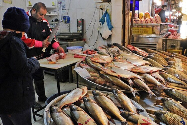 قیمت انواع ماهی در ۲ بهمن ۱۳۹۹