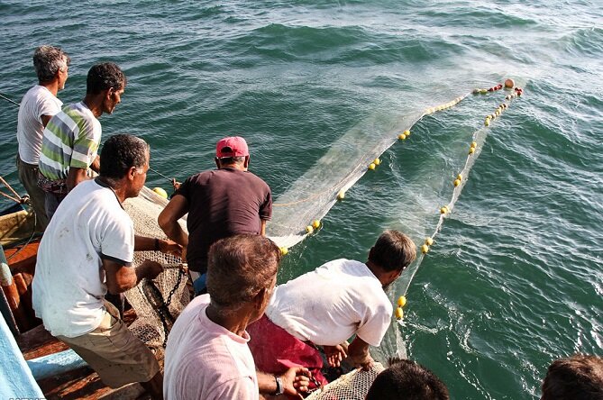 صید ۲۸۶۵ تن ماهیان استخوانی از دریای خزر| پیش‌بینی افزایش صید ظرف ۳۰ روز آینده