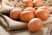 روزانه ۴۰ تن تخم مرغ در کشور تولید می شود