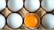 تخم مرغ مورد نیاز چهارمحال و بختیاری از دیگر استان‌ها تامین می‌شود
