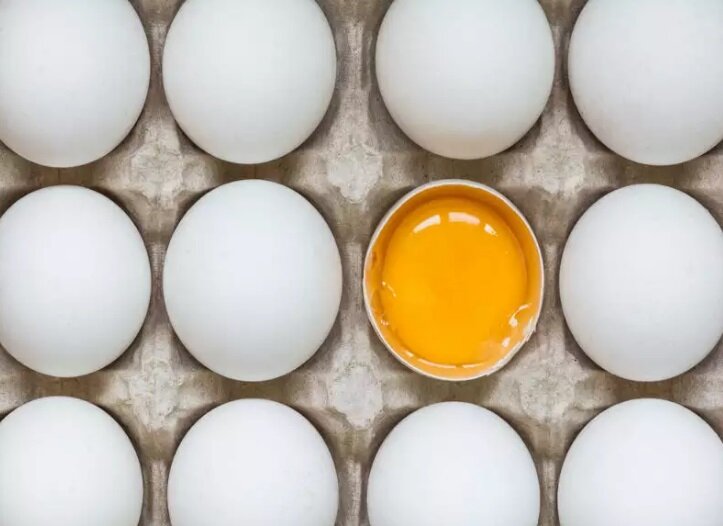 جدال بر سر قیمت تخم‌مرغ؛ بی‌توجهی به تولیدکنندگان مشکوک است 