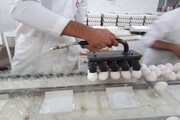 کسری روزانه ۱۲ تن تخم‌مرغ در خراسان شمالی