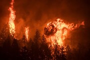 صحنه‌هایی از رکورد شکنی در فصل آتش سوزی کالیفرنیا