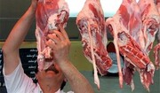 بیش از ۴۵ هزار تن گوشت در قزوین تولید شد