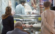 قیمت گوشت قرمز در بازار قزوین همچنان صعودی است