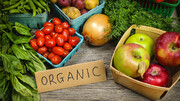 رشد ۶.۹۹ درصدی بازار جهانی  میوه و سبزیجات ارگانیک تا ۵ سال آینده