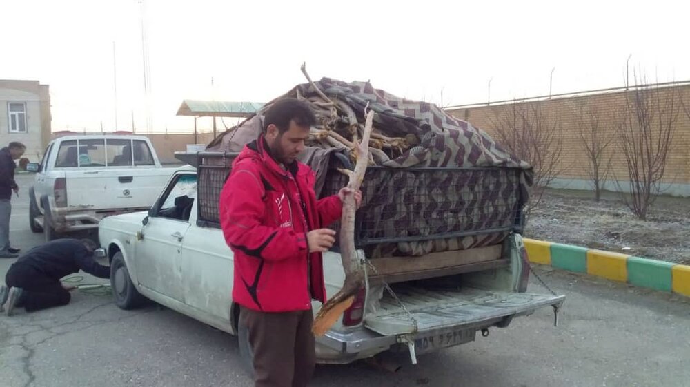 ۵۲۷ تن چوب قاچاق در اصفهان کشف شد