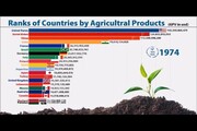 چین، بی‌رقیب در کشاورزی
