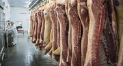 کشور با کمبود تولید گوشت قرمز مواجه نیست