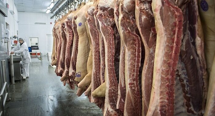 کشور با کمبود تولید گوشت قرمز مواجه نیست
