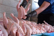 قیمت تمام شده مرغ همچنان در بلاتکلیفی/ تعطیلات چند روزه کشتارگاه ها، مرغ را گران‌ تر کرد