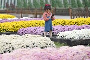 گشایش ۲ نمایشگاه تخصصی در اهواز
