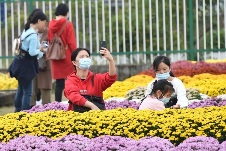 نمایشگاه گل داودی در نانجینگ 7