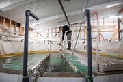 مزارع تخصصی پرورش ماهی در کانادا