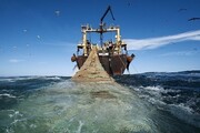 توقیف شناور صید ترال در آب‌های جزیره کیش