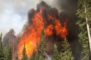 تهدید ۳ هزار خانه در کالیفرنیا به علت آتش سوزی جنگلی