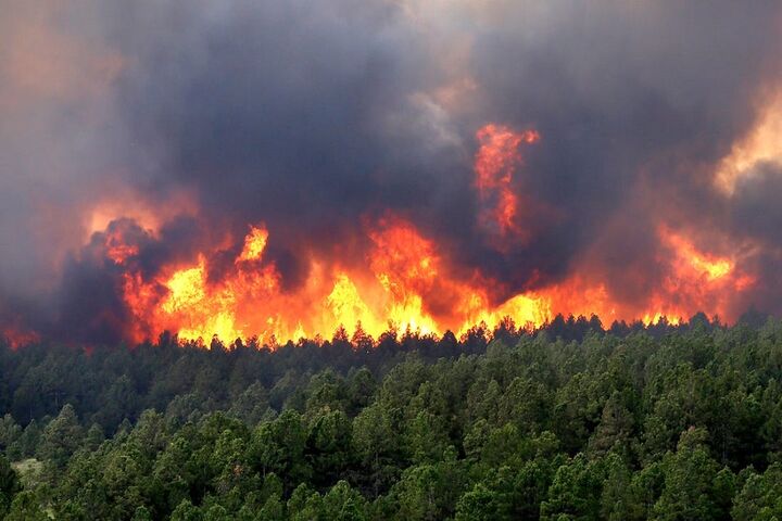 آتش سوزی گسترده در کلرادو 14