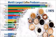 برزیل، کشور دانه‌های قهوه