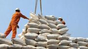 واردات ۵۸۰ هزار تن برنج به کشور در سال ۹۹