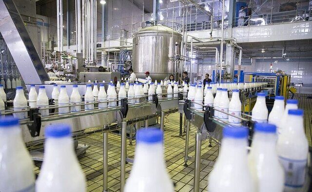 ظرفیت روزانه تولید شیر در کشت و صنعت به ۲۰۰ تن رسید