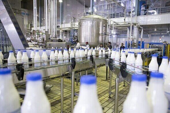 حل موانع توسعه بزرگترین کارخانه تولید شیر کشور در نظرآباد