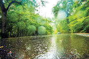 رشد بیش از ۸۶ درصدی بارش‌ها در دی‌ماه نسبت به دوره بلندمدت