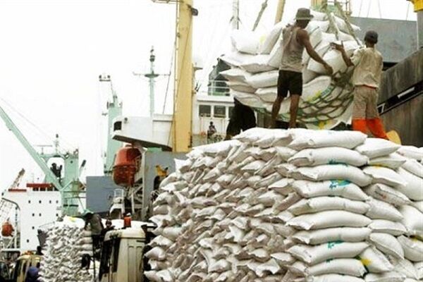 معطلی ۸۰۰ تن برنج در گمرک بوشهر؛ کاهش قیمت نیازمند ترخیص واردات