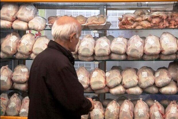 ۷۱۰ تن مرغ منجمد در بازار ایلام توزیع شد