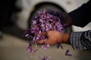 زعفران ایرانی به دنبال فرصت‌های بهتر برای صادرات
