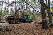 پیامدهای واگذاری مدیریت جنگل هیرکانی به شرکت های غیربومی