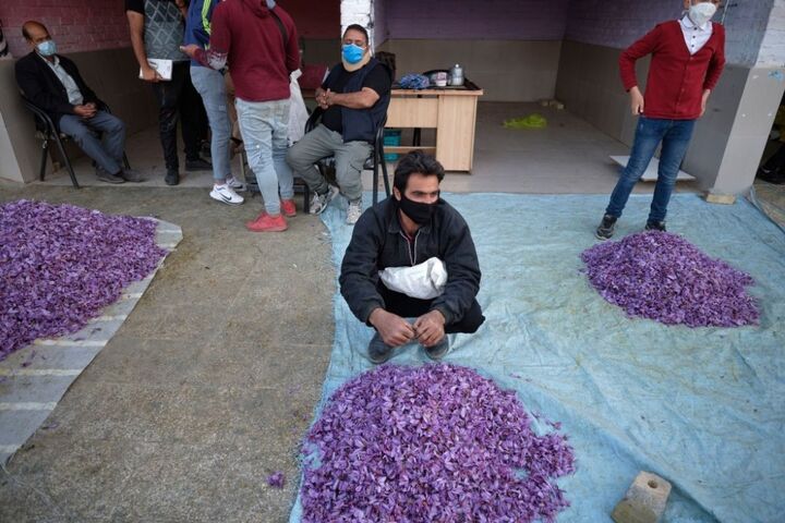 داستان دیگری از زعفران؛ وقتی قاچاق، اقتصادی تر از صادرات می شود! 