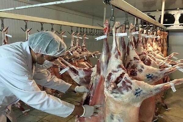 نظارت بهداشتی براستحصال ۶۷ هزار تن گوشت قرمز و سفید در آذربایجان غربی