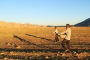 تردید بوشهری‌ها برای کشت دیم؛ چشم کشاورزان به آسمان است