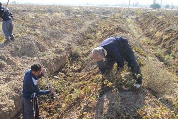 ایران رتبه‌دار فرسایش خاک در جهان| سالانه ۴ تا ۱۷ تن خاک در همدان فقیر می‌شود